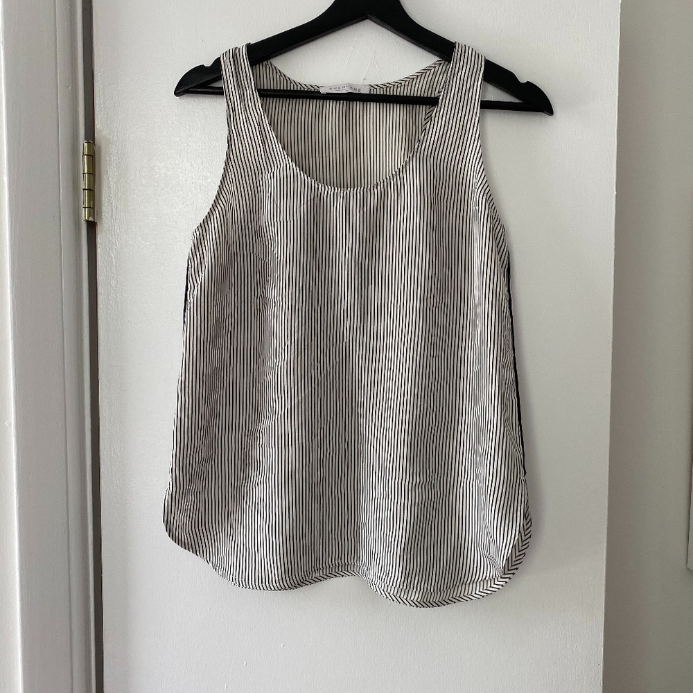 Everlane Stripe Silk Tank